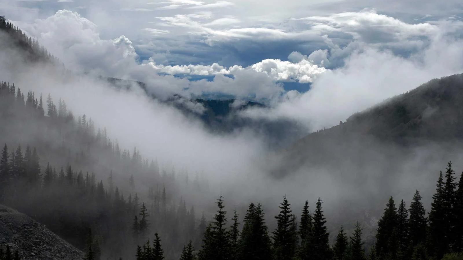 0d489f5a 25de 39d1 9a90 Ae412c9c45dc