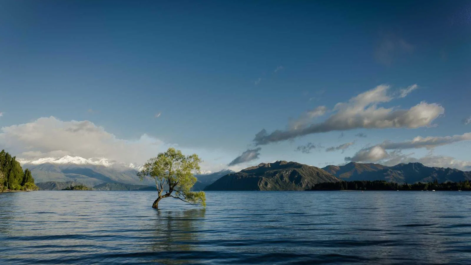 4fc565f3 11c9 3005 Aad4 554914197f