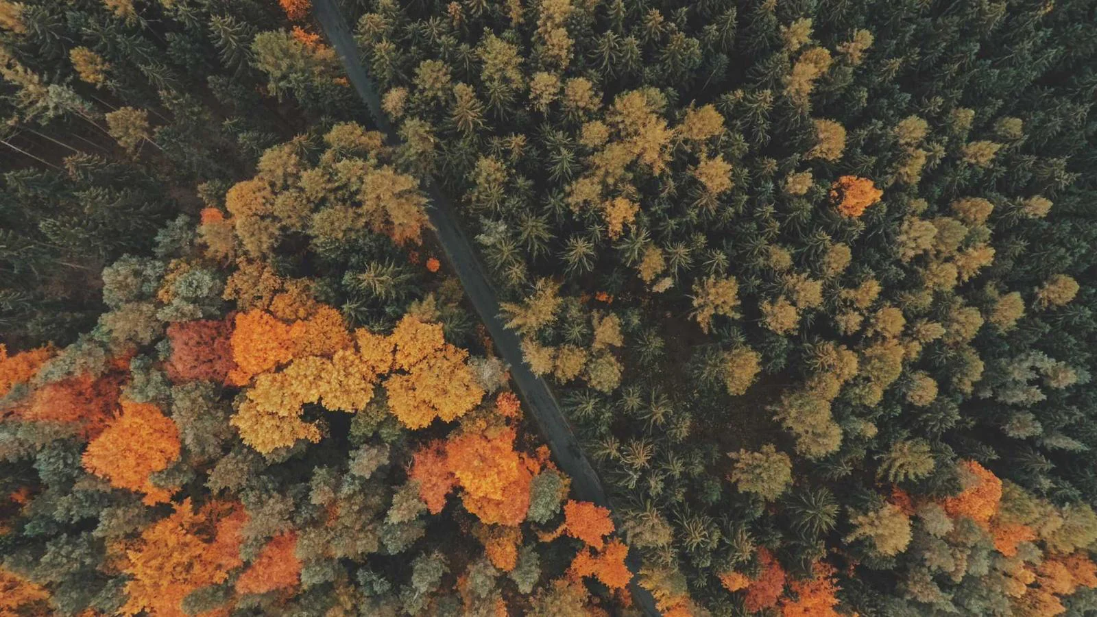 57a86a0f C395 32fc A7dd 8992024313f