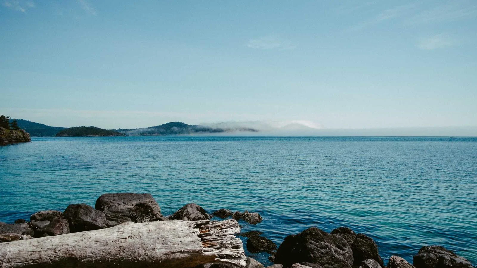 C09f8a58 98ad 3517 B830 F37d160ffe