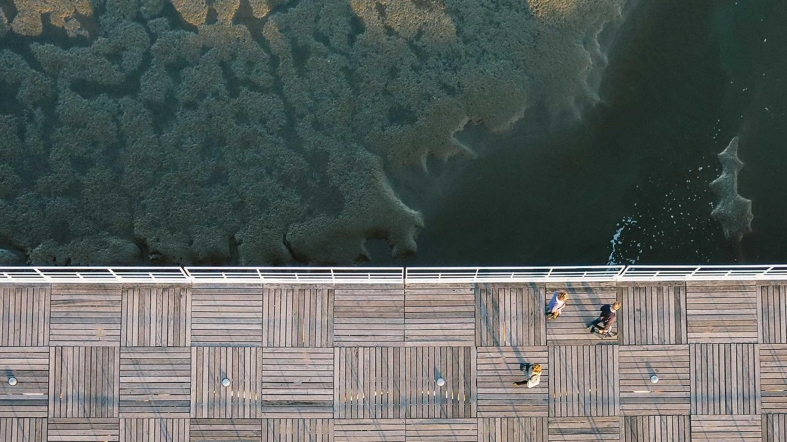 C5f07a67 B23b 37f4 Ae5a 2a47653a234c